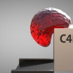 Softbody Simulation / Animation V13