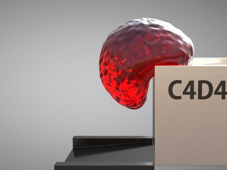 Softbody Simulation / Animation V13